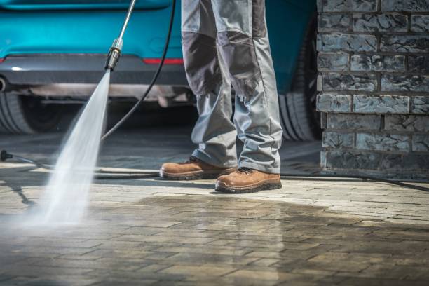 Best Roof Washing  in Randolph, WI
