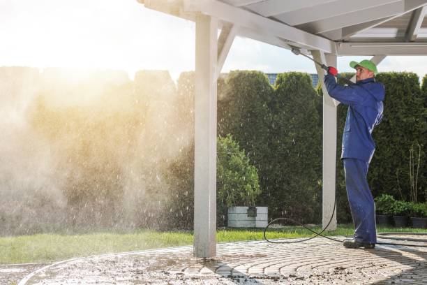 Best Driveway Pressure Washing  in Randolph, WI